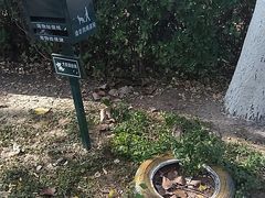 -绿岛公园(滨海新区)