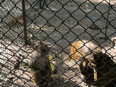 -长白岛森林公园