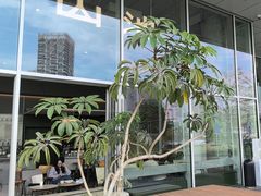 -SAANCI山池咖啡(海上世界文化艺术中心店)