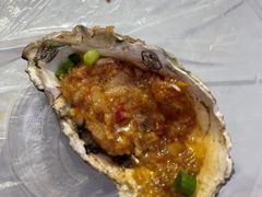 -爱蚝屋