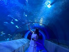 -太平洋海底世界