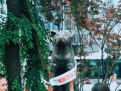 -涩谷区