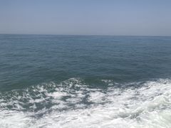 -枸杞岛