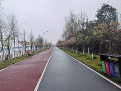 -艾溪湖湿地公园