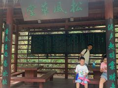 -铁山坪森林公园