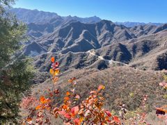 -相聚青山餐厅(阎河路店)