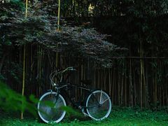 -胶囊画廊