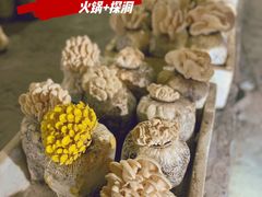 -仙蘑洞
