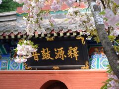 -洛阳白马寺