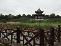 -上海海湾国家森林公园