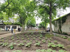 -绍兴鲁迅故里·沈园景区