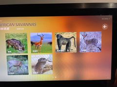 -陕西自然博物馆