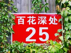 -百花深处胡同