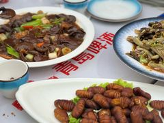 -红高粱海鲜大排档(福成路店)