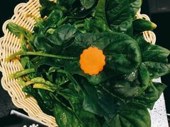 -青一色火锅(摩根店)