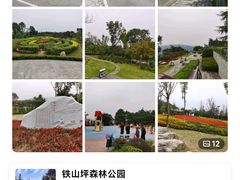 -铁山坪森林公园