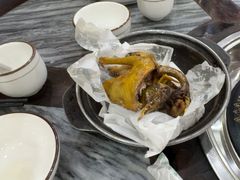 -鸽鸟轩(石岐店)