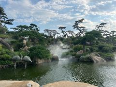 -罗红摄影艺术馆