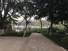 -重庆彩云湖湿地公园