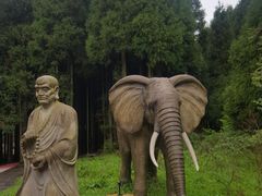 -武陵山森林公园