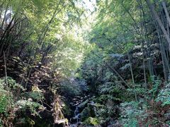 -藏龙百瀑风景区