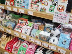 -熊猫邮局(少城店)