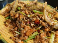 -龙小海荆沙鸽子店(瑞安街店)