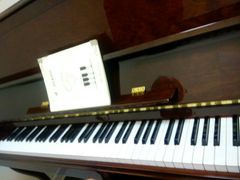 -谈·PIANO(金唐新光界店)