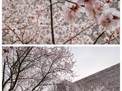 -北京明城墙遗址公园