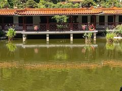 -深圳仙湖植物园