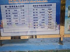 -合肥野生动物园