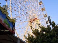 -东湖公园游乐场