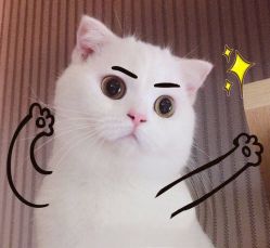 -容萨美业·美容美发