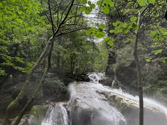 -牛背梁国家森林公园