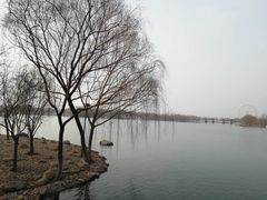 -石家庄市植物园