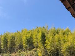 -广州市流溪河国家森林公园