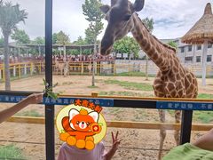 -西霞口神雕山野生动物世界