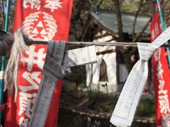 -井之头恩赐公园