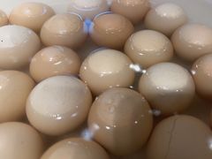 -鸽子窝(宋庄店)