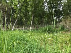 -东郊湿地公园