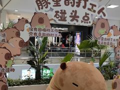 -凯德MALL(西直门店)