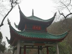 -柠季·手打柠檬茶(岳麓山登高路店)