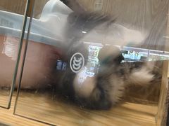 -平行世界·猫咖(首经贸店)