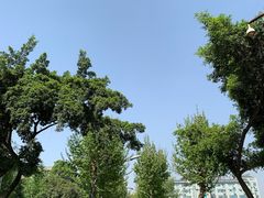 -四川大学(望江校区)