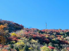 -北京西山国家森林公园