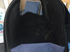 -瑞派名望志远动物医院·猫科·內科·异宠专科(直港大道店)