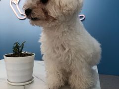 -喵宠乐园·撸猫互动·猫舍