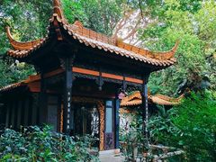-广州兰圃