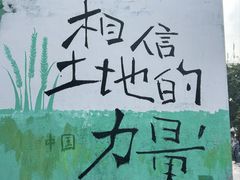 -黄桷坪涂鸦艺术街
