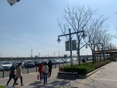 -迪士尼乐园停车场